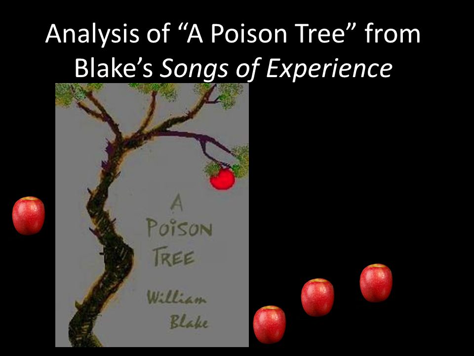 A poison tree analysed thoroughly